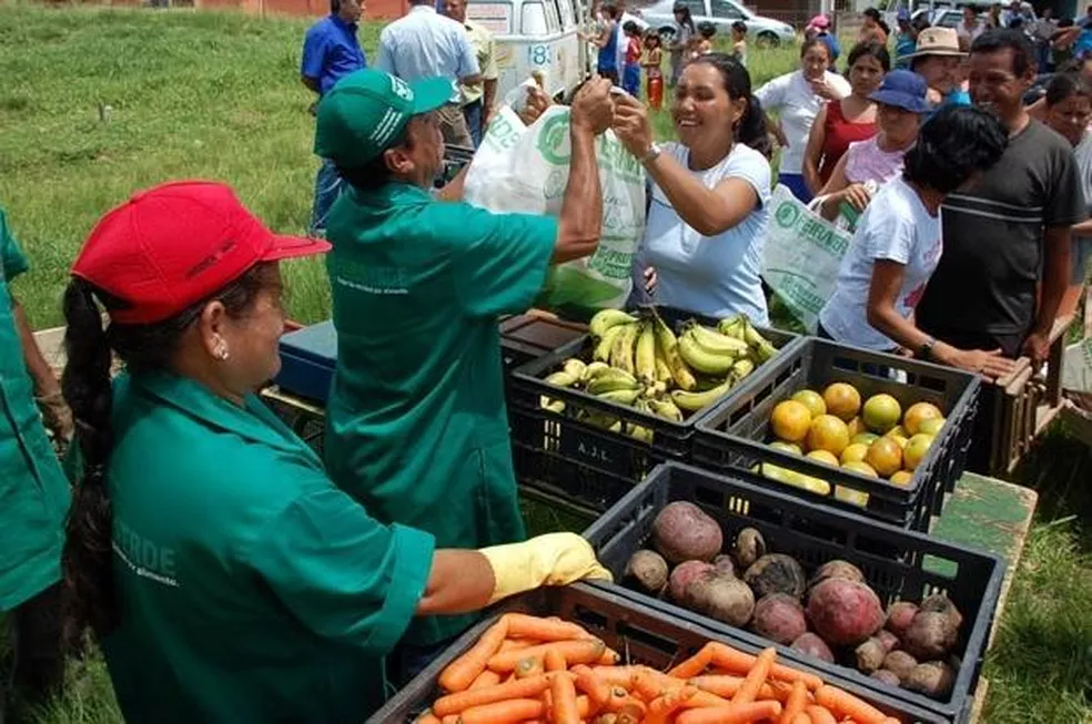 Feira Verde de Ponta Grossa